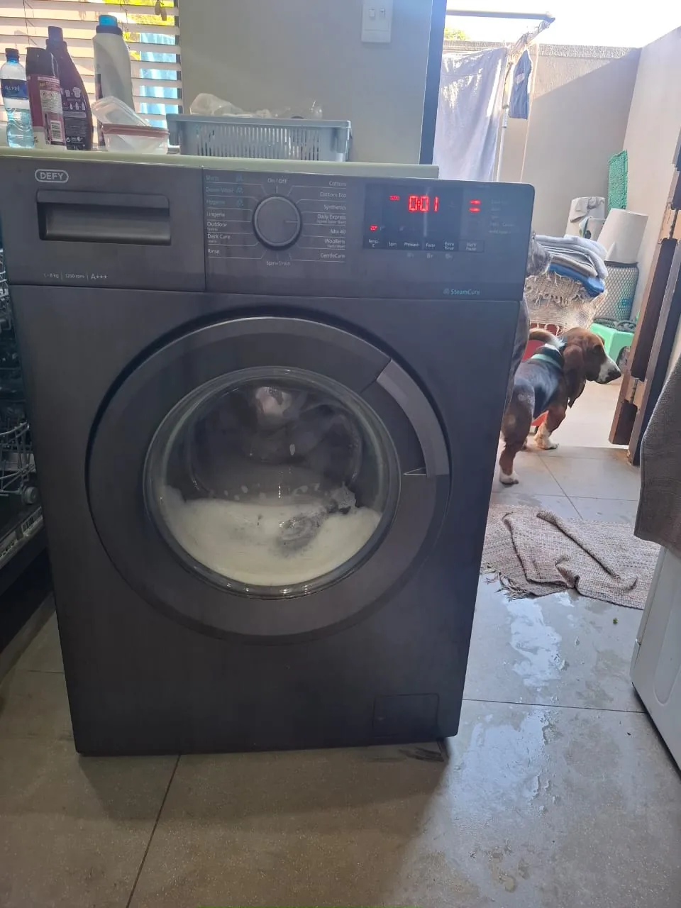 Washing Machine Repairs in Musgrave